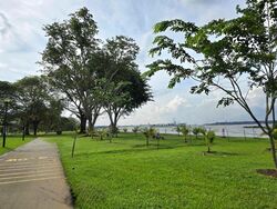 Jalan Loyang Besar (D17), Terrace #572930301